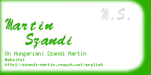 martin szandi business card